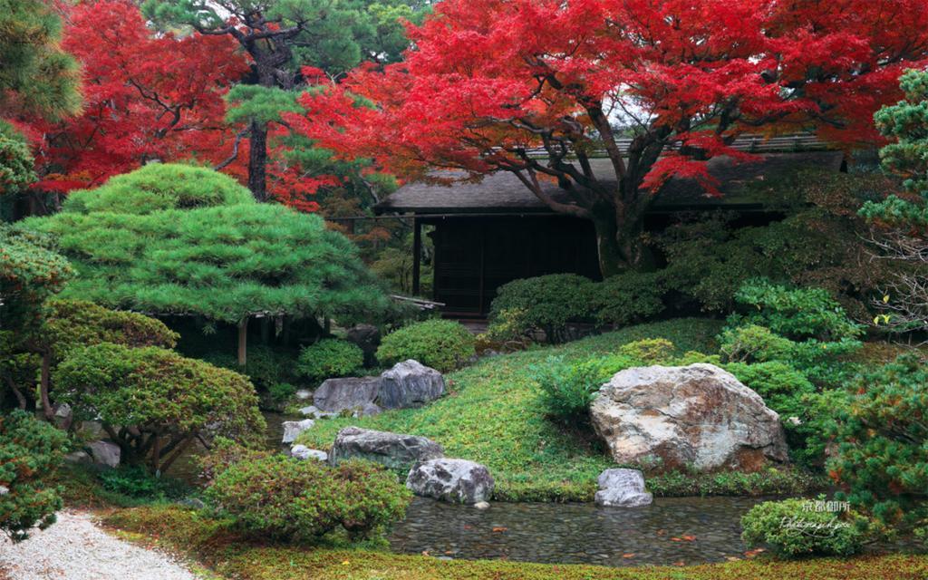 Hidden Inn Shimogamo Kyoto Dış mekan fotoğraf