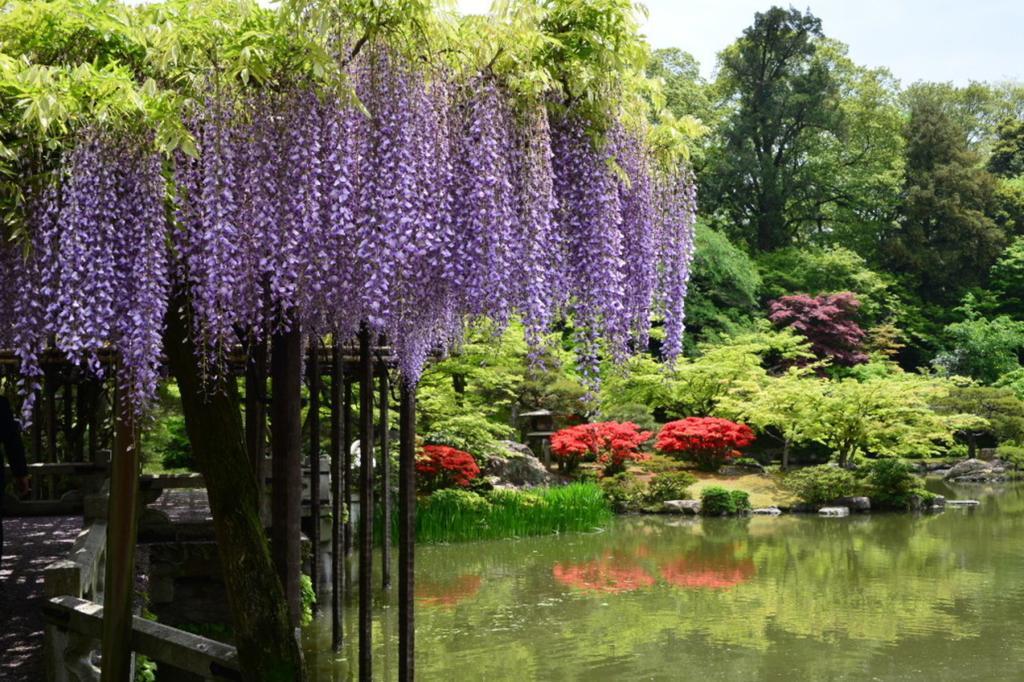 Hidden Inn Shimogamo Kyoto Dış mekan fotoğraf